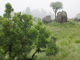 Buy Fog on Drakensberg Mountains, Royal Natal National Park, Kwazulu Natal Province, South Africa at AllPosters.com