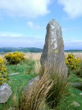 Buy Druid Circle, County Cork, Ardgroom Outward, Ireland at AllPosters.com