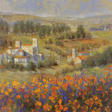 Provencal Village VII