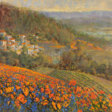 Provencal Village IX
