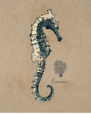 Buy Vintage Linen Seahorse at AllPosters.com