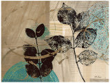 Buy Leaf Kaleidoscope II at AllPosters.com