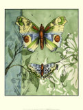 Embellished Vibrant Butterflies I