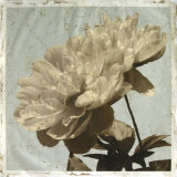 Antiqued Floral and Sky I