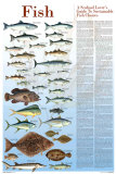 A Seafood Lover's Guide to Sustainable Fish Choices