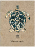 Buy Vintage Linen Tortoise at AllPosters.com