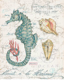 Centuria Seahorse