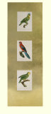 Parrot Panel II