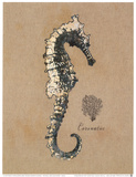 Vintage Linen Seahorse