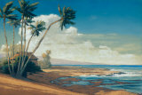 Buy Kona Coast I at AllPosters.com