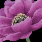Brilliant Blooms I