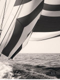 Buy Volante at AllPosters.com