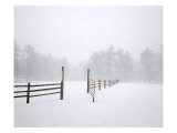 Buy White Fog No. 2 at AllPosters.com