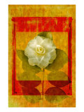 Buy Camellia at AllPosters.com