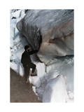 Man Studies Red Snow, Caused by Minute Algae, in a Glacier
