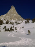 Buy Ski Tracks in Fresh Snow in the Sierra Mountains at AllPosters.com
