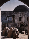 Boy and a Camel Pose in the Courtyard of a Nicosia Inn