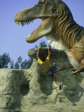Man Rock Climbing
