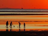 Buy People with Nets at Low Tide in the Brewster Tidal Flats at Sunset at AllPosters.com
