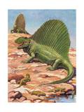 Dimetrodons' Spines Could Grow Up to Four Feet High