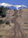 Dirt Road Leading to the Snow-Capped Mountains