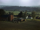 Buy Day Breaks over a Dairy Farm Where Cows Rest in a Pen Near a Barn at AllPosters.com