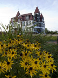 Black-Eyed Susans at the Lunenburg Academy,Still in Use as a School