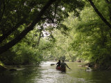 Couple Canoeing under Tree Cover Down the Shenandoah River
