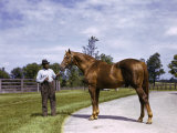 Champion Horse Man-O-War Poses with One of His Grooms