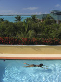 Woman Dives into a Swimming Pool at a Summer Rental House