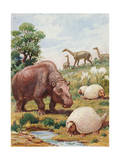 Toxodon, Glyptodon and Macrauchenias Lived in South America