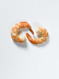 Studio Shot of Two Boiled Shrimp
