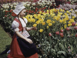 Buy Girl Wearing a Traditional Dutch Dress Looks at Tulips in a Garden at AllPosters.com