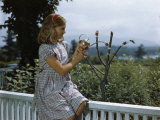 Buy As Girl Fills One Bird Feeder Vial, a Hummingbird Sips from Another at AllPosters.com