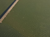 Aerial View of a Bridge Near San Francisco, California