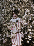 Buy Girl Poses Amongst Apple Tree Blossoms in Winchester at AllPosters.com