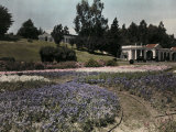 Buy View of Cypress Lawn's Landscaped Grounds at AllPosters.com
