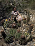 Buy Woman Sits in a Patch of Turk's-Cap Cacti at AllPosters.com