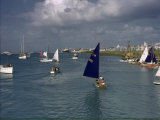Buy San Juan's Winter Regatta Brings Comet Class Yachts to the Harbor at AllPosters.com