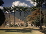 Palm Trees Line the Caracas County Club