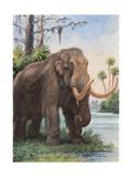 When the Age of Man Began, the Mastodon Still Inhabited North America Photographic Print