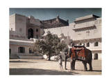 Man and Elephant Stand in the Court of Honor in a Palace of Akbar