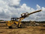 Buy Heavy Equipment Carrying Logs at a Timber Operation in Borneo at AllPosters.com