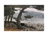 Buy Coastal View Through Trees of the French Riviera at AllPosters.com