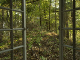 Buy Open Window Leads to the Back Woods Near Lake Champlain at AllPosters.com