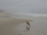Wide Beach in South Africa