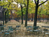 Trees and Empty Chairs in Autumn in the Luxembourg Gardens, Paris