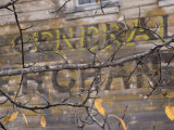 General Store in Mccarthy, Alaska