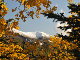 Buy Trees in Fall Colors Frame a Mountain with it's First Seasonal Snow at AllPosters.com