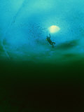 Buy Diver under the Sea Ice in the Arctic Circle at AllPosters.com